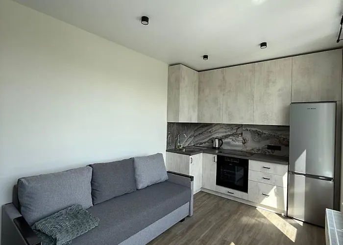 віп вул під голоском 15 б 9-2 アパート リヴィウ