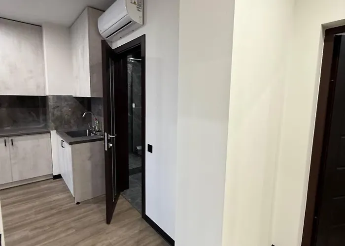 віп вул під голоском 15 б 9-2 リヴィウ