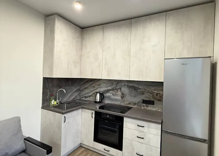 віп вул під голоском 15 б 9-2 アパート リヴィウ