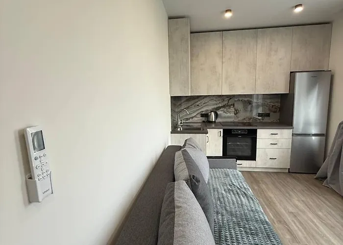 віп вул під голоском 15 б 9-2 アパート リヴィウ